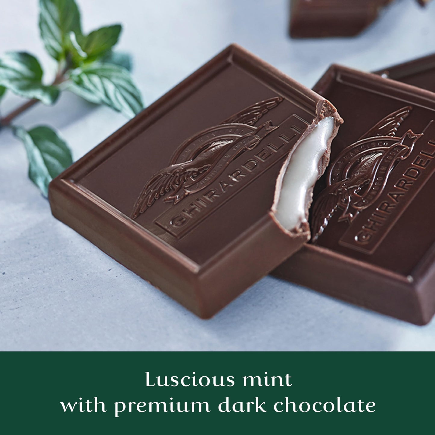 Ghirardelli Choc Sqr Drk Wht Mint, 5.32 Oz