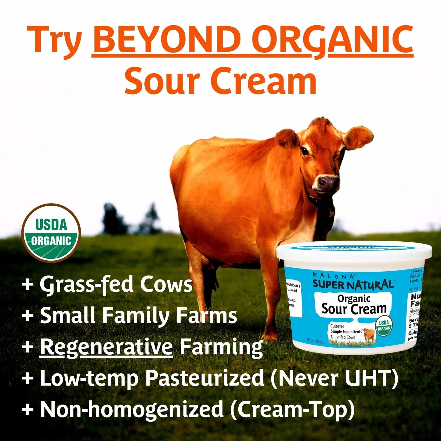 Kalona Super Natural Organic Sour Cream, 16 oz