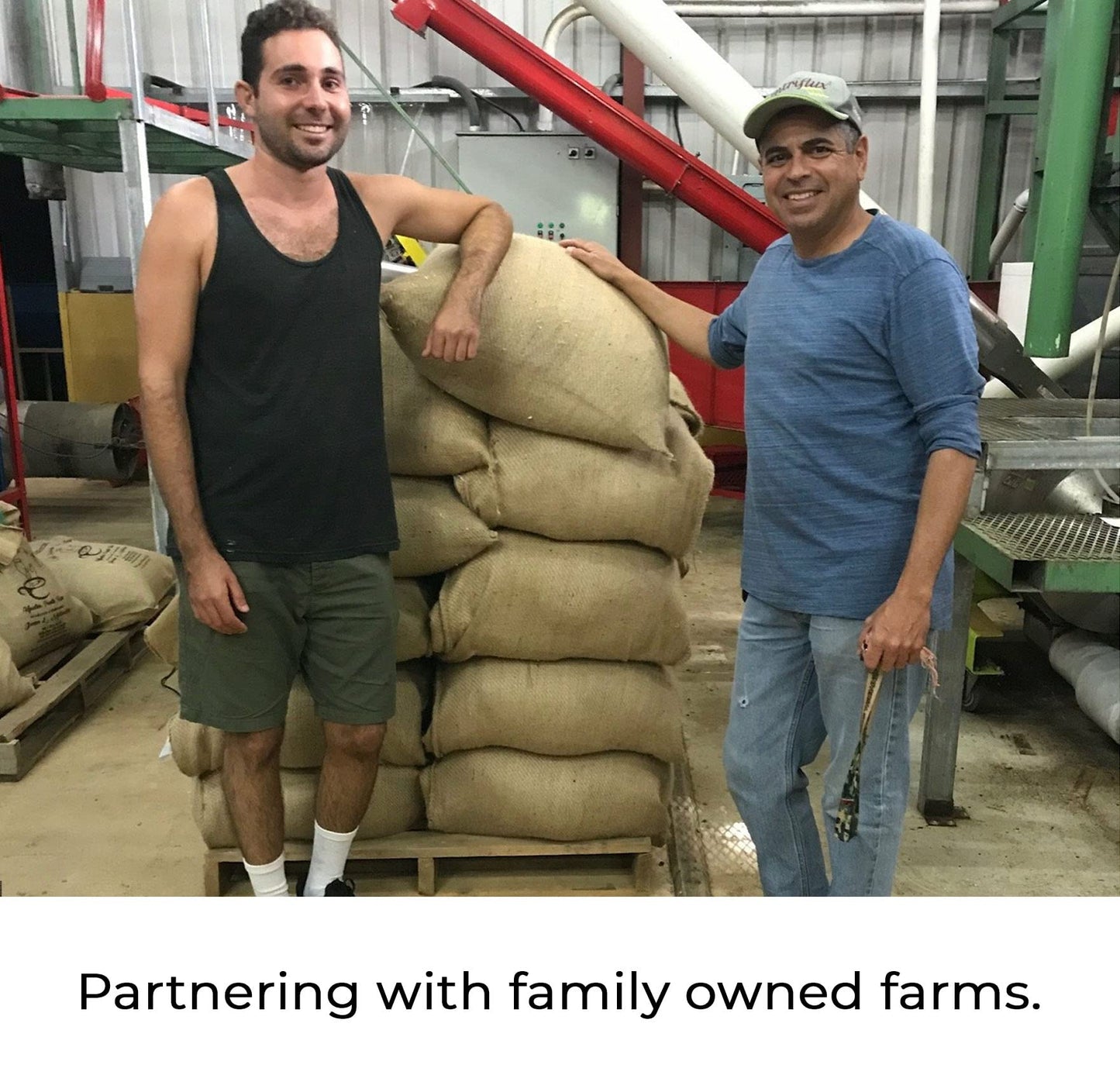 Kilo Coffee - 1 Kilogram Adaptogenic Mushroom Coffee. Whole Fruiting Body: Lions Mane, Chaga, Reishi, Cordyceps. Single Origin f