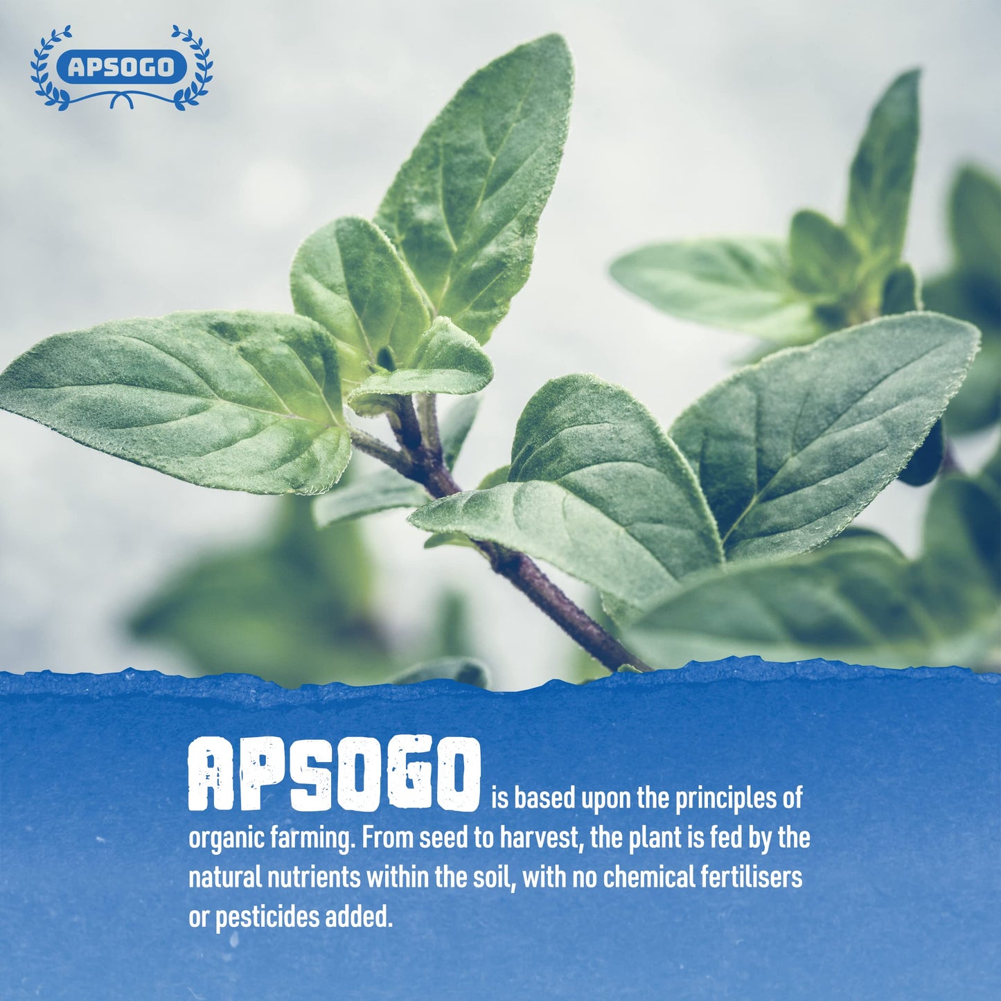 Apsogo Oregano - Organic Dried Oregano Produced In Greece - Premium Quality & Excellent Taste (7.05Oz (Pack Of 1))