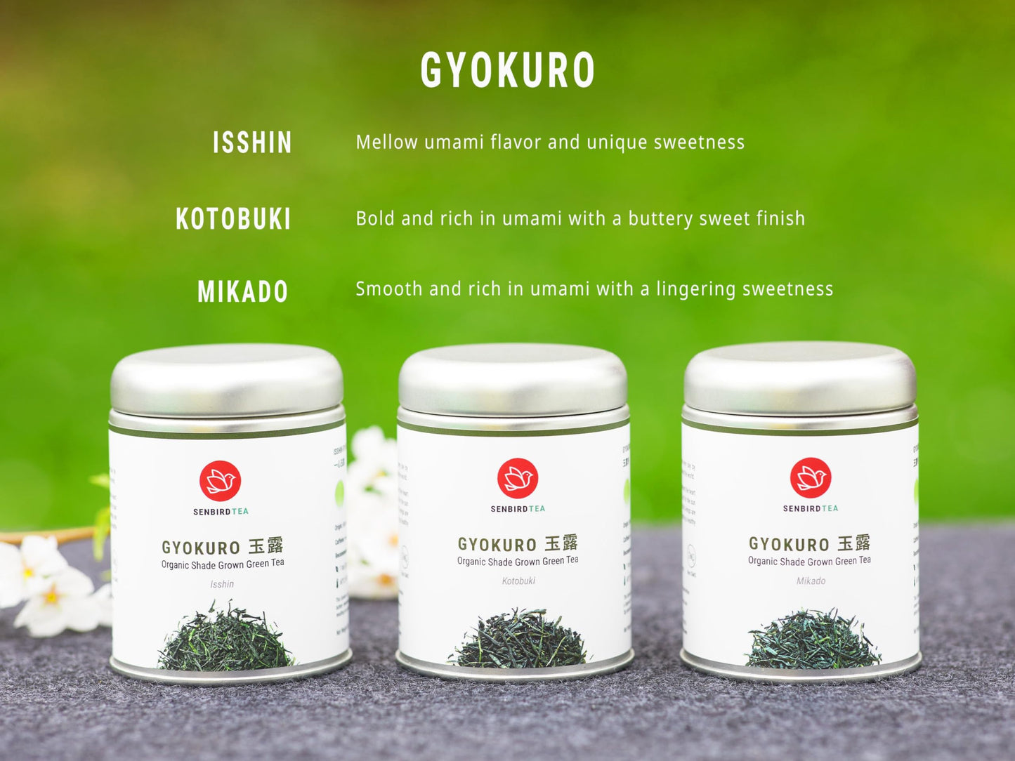 Senbird Organic Gyokuro, Japanese Shade Grown Green Tea - Mikado From Kyoto Japan - Imperial Loose Leaf Green Tea In Airtight Te