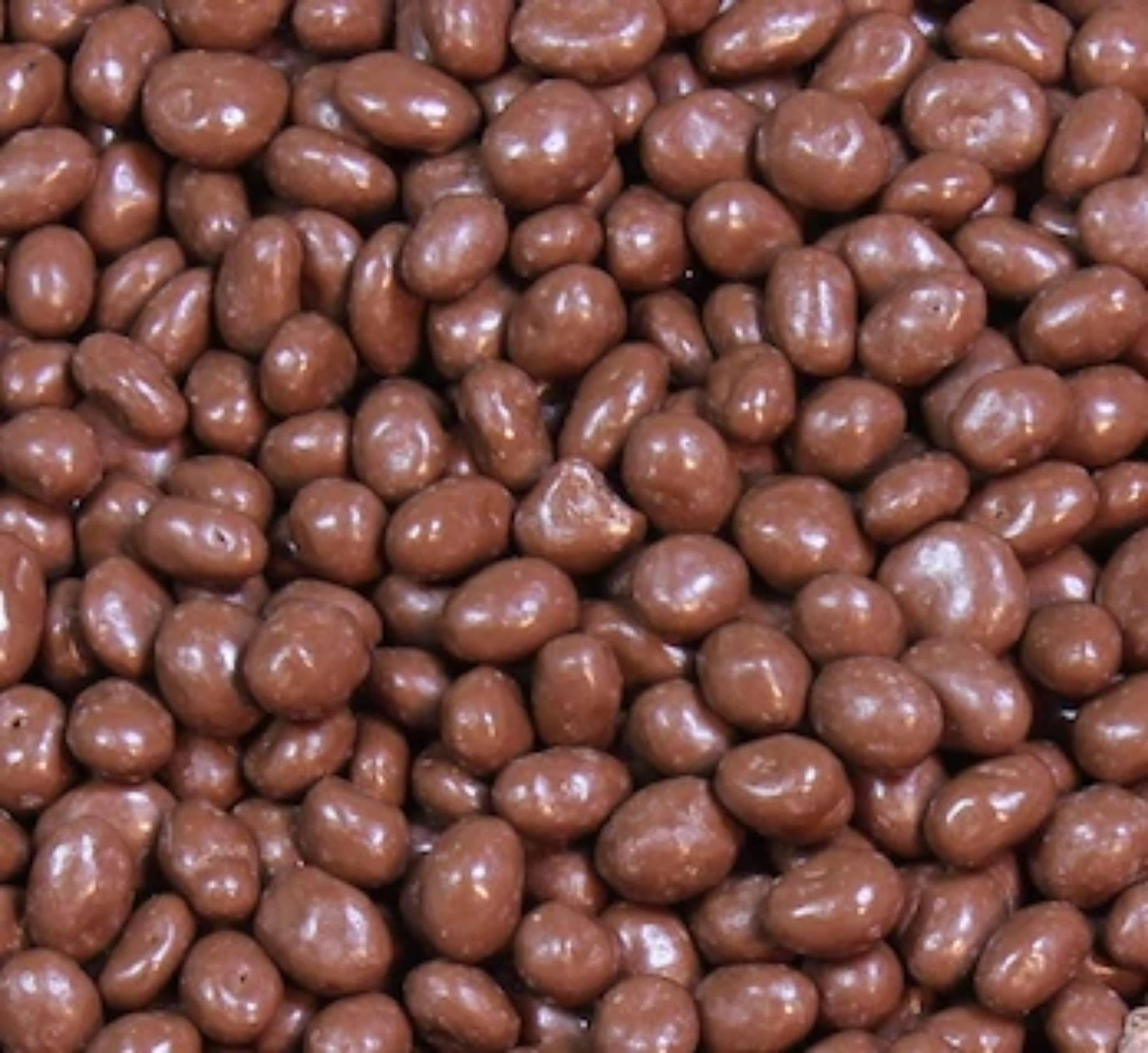 QUEEN CITY CANDY CAVE Milk Chocolate Covered Raisins, 1 Pound, Light Brown, Juicy and Plump Chocolate Raisins
