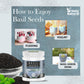 Holy Natural Basil Seeds - Edible Sabja/Falooda Seeds, 16 Oz, Rich in Fiber, Natural Body Coolant