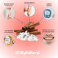Xyloburst Xylitol Chewing Gum, Sugar Free, Gluten Free, Keto Friendly, Cinnamon, 12 Count, Reddish-brown