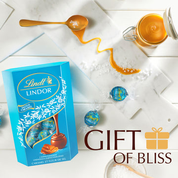 NEW: Lindt Lindor Milk Chocolate Salted Caramel Chocolate Gift Box, 200 g