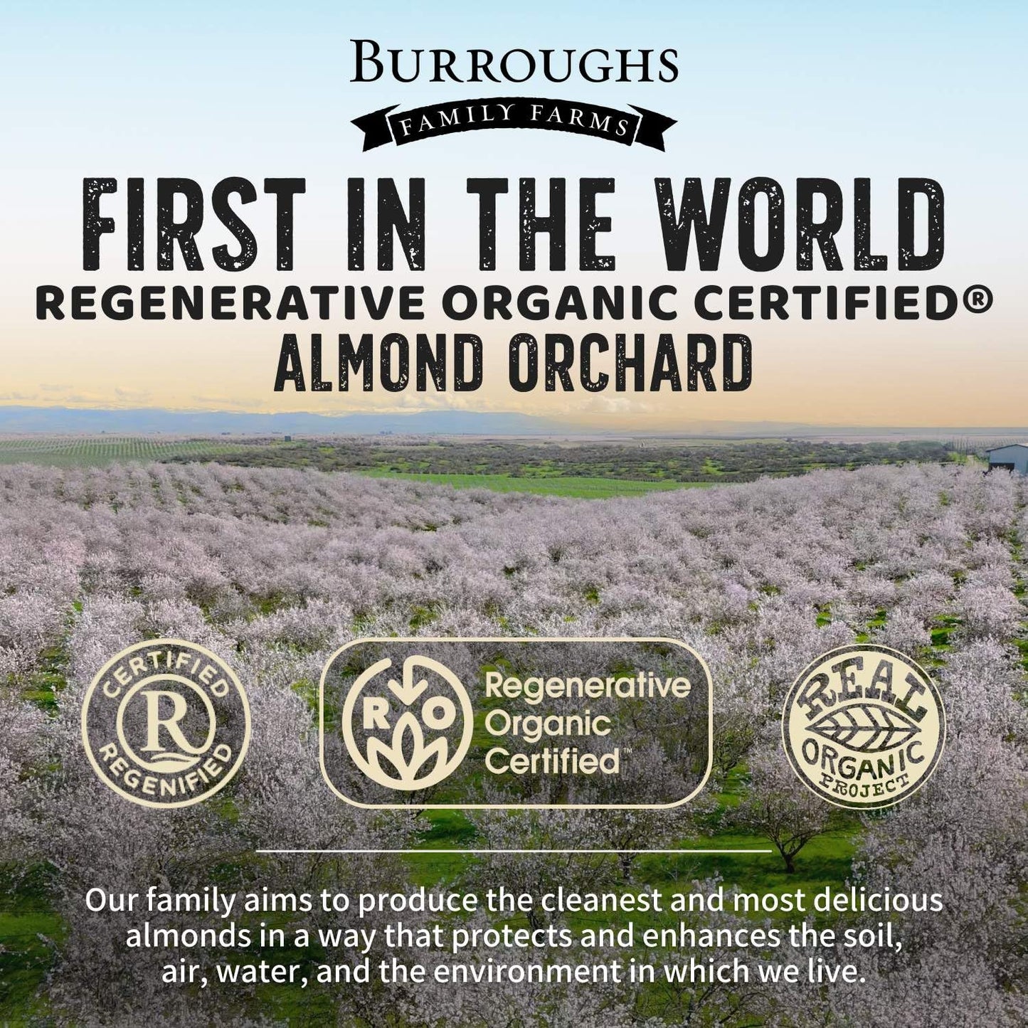 Burroughs Family Farms Organic Raw Almonds 25 lb - Regenerative, Gluten-Free, Non-GMO, Vegan, Keto-Friendly, High Antioxidants