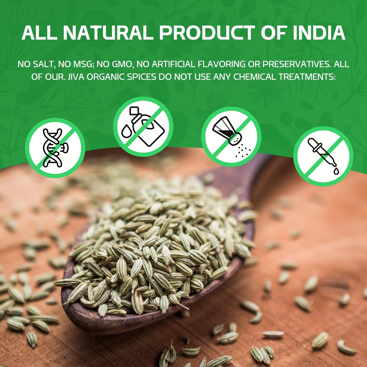 Jiva Organics Fennel Seeds - Non-GMO, Vegan, Resealable Bag - 7 Oz - Product of India