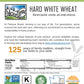 Hard White Wheat Berries | 25 Lbs | Emergency Food Storage Bucket | Non-Gmo | Grown On Our Family Farm | Bulk