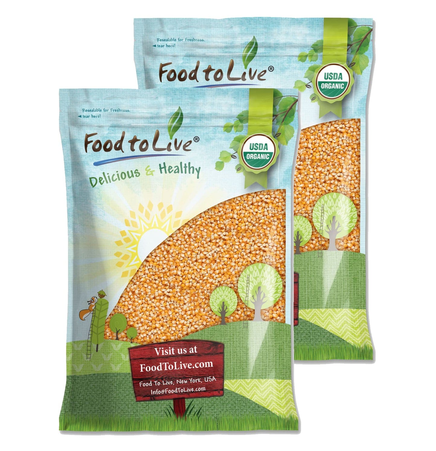 Food to Live Organic Yellow Popcorn, Non-GMO, 320 Ounce, Whole Grain, High Fiber, Low-Calorie Snack
