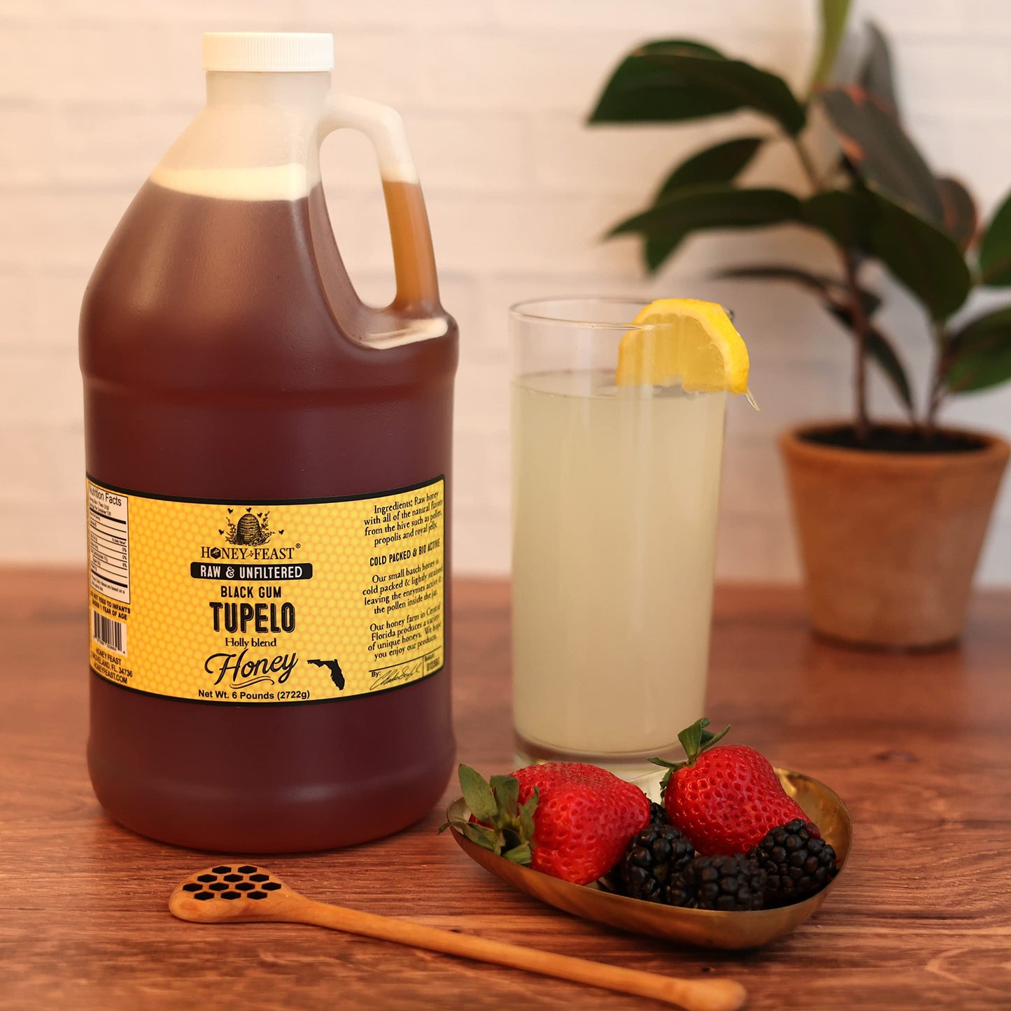 Honey Feast Tupelo Honey 6Lb - Authentic Florida Honey From Black Gum Tupelo & Holly Blend, Raw Honey Bulk, Pure American Honey