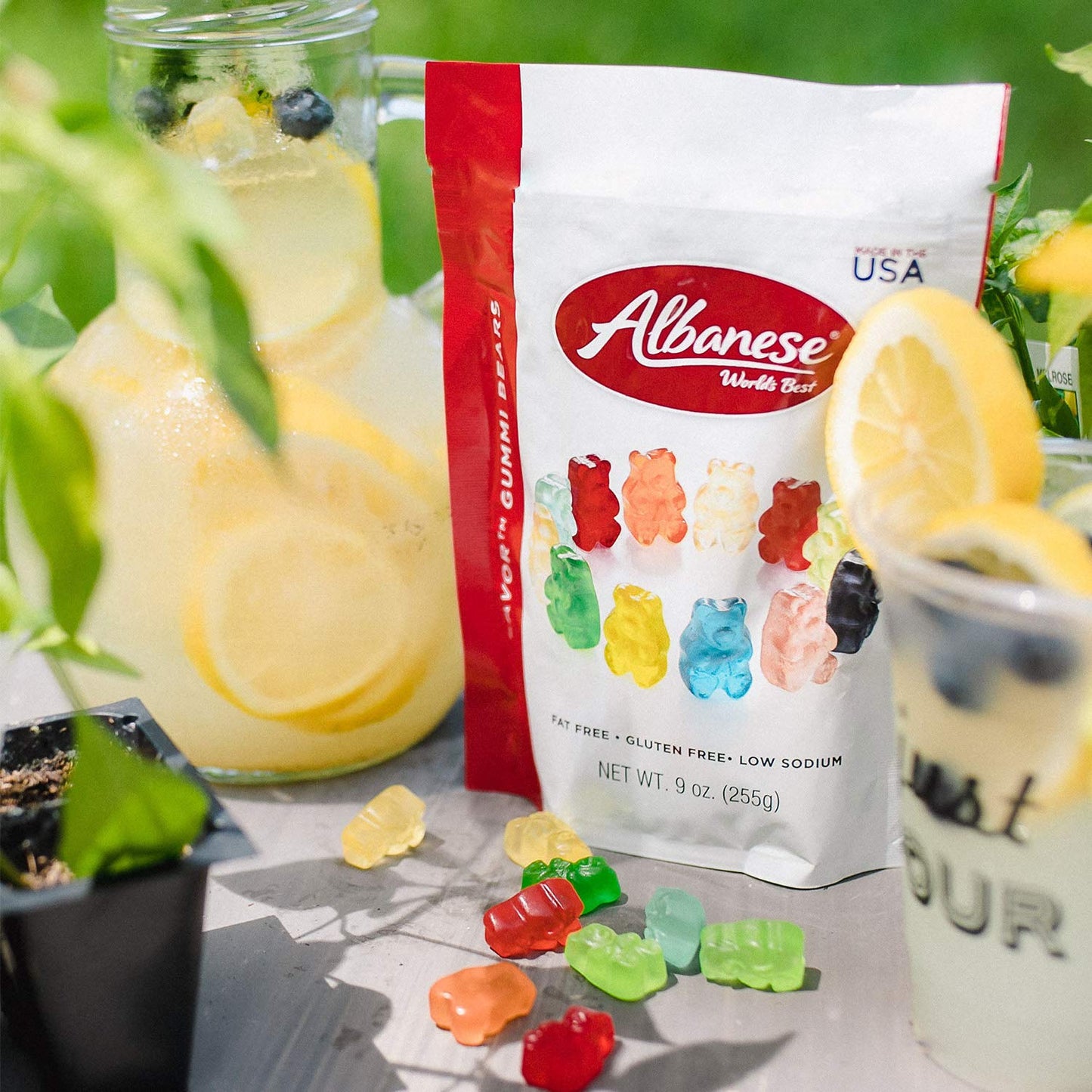 Albanese World'S Best 12 Flavor Gummi Bears, 9 Oz