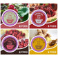 Eastsign Tea K Cups, 24-Count Tea Variety Pack, 4 Flavors K Cup Tea Pods Rose Lotus Leaf, Wolfberry Jujibe,Honey Ginger,Hibiscus Tea, Gifts For Festival