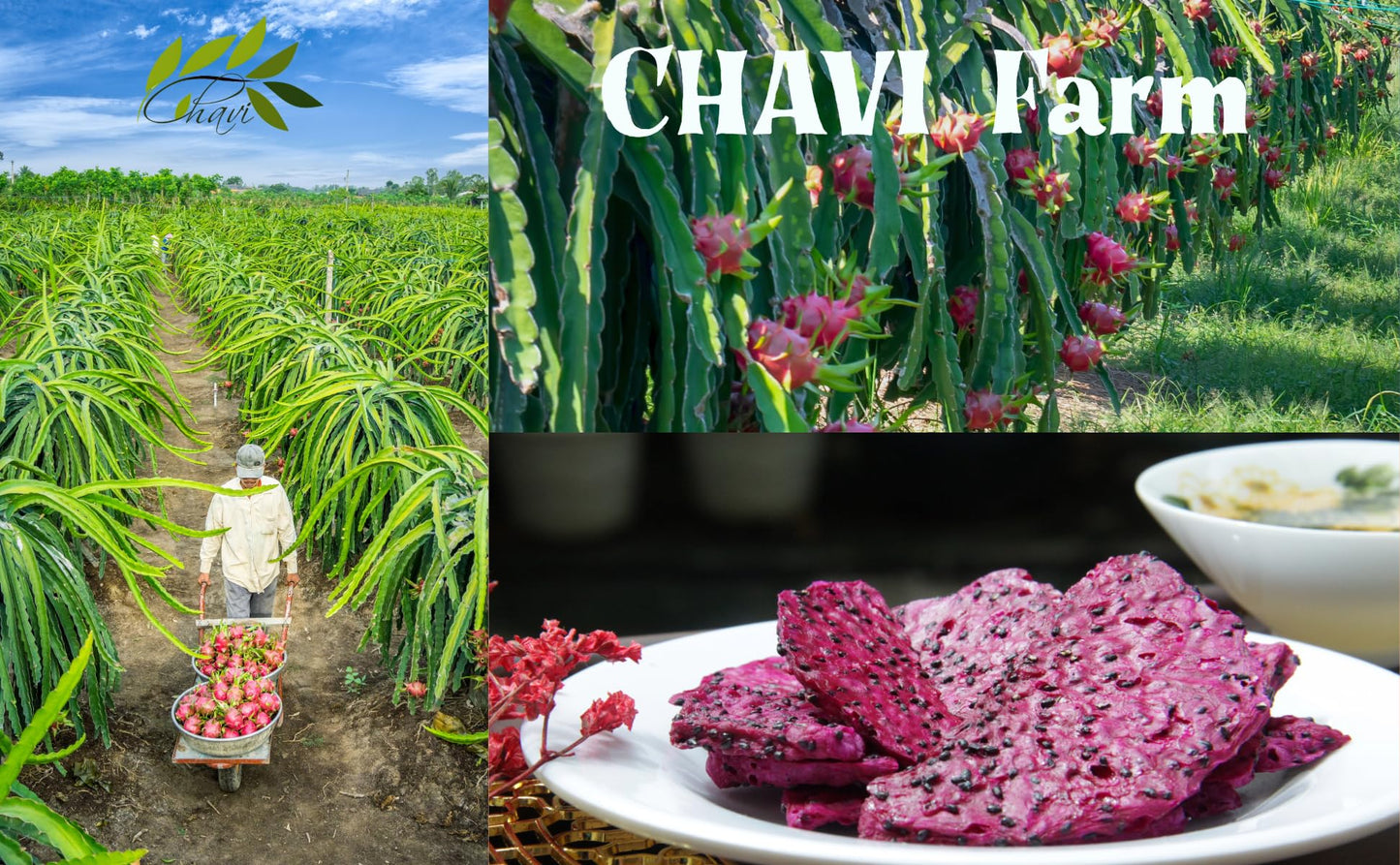 Chavi Dragon Fruit Chips - Pack Of 6 X 2 Oz - Healthy 1 Ingredient Superfood Snack - No Added Sugars Or Preservatives - Non-Gmo,