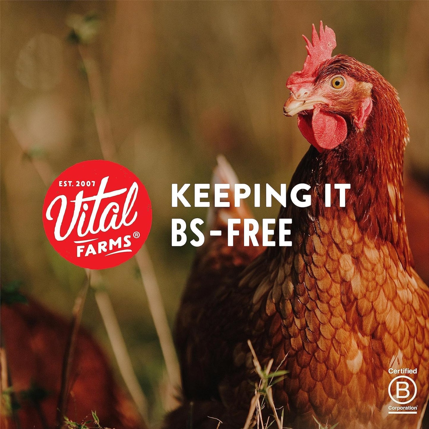 Vital Farms, Pasture-Raised Hard Boiled Eggs, Resealable Bag, 6 Ct