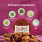 ALOHA Organic Plant Based Protein Bar MINIS | Oatmeal Chocolate Chip | 20 Count, 24g Bars | Vegan, Low Sugar, Gluten Free, Low C