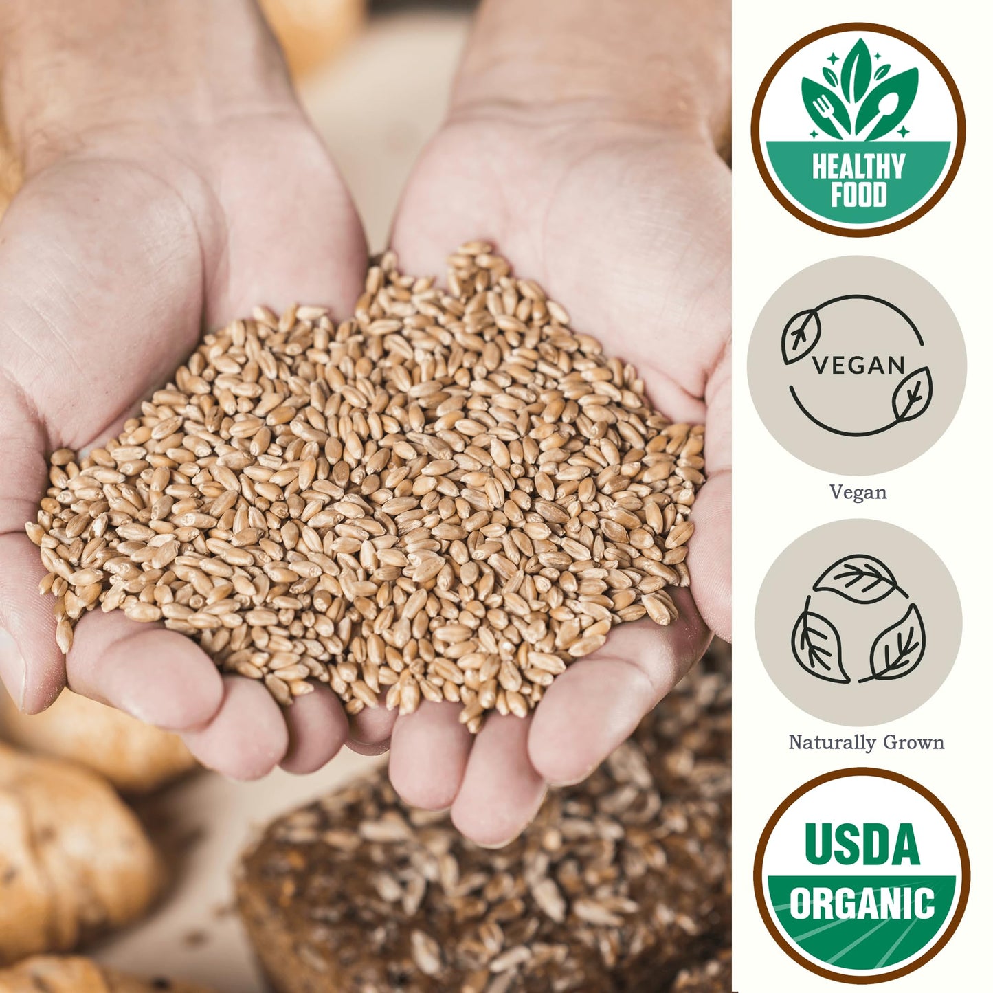 Be Still Farms Organic Soft White Wheat Berries (5.8Lb) - Healthy Whole Grains Bulk - Ideal For Feeder Oats, Flour, Bread, Soup