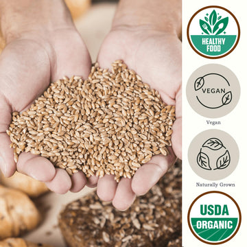 Be Still Farms Organic Soft White Wheat Berries (5.8Lb) - Healthy Whole Grains Bulk - Ideal For Feeder Oats, Flour, Bread, Soup