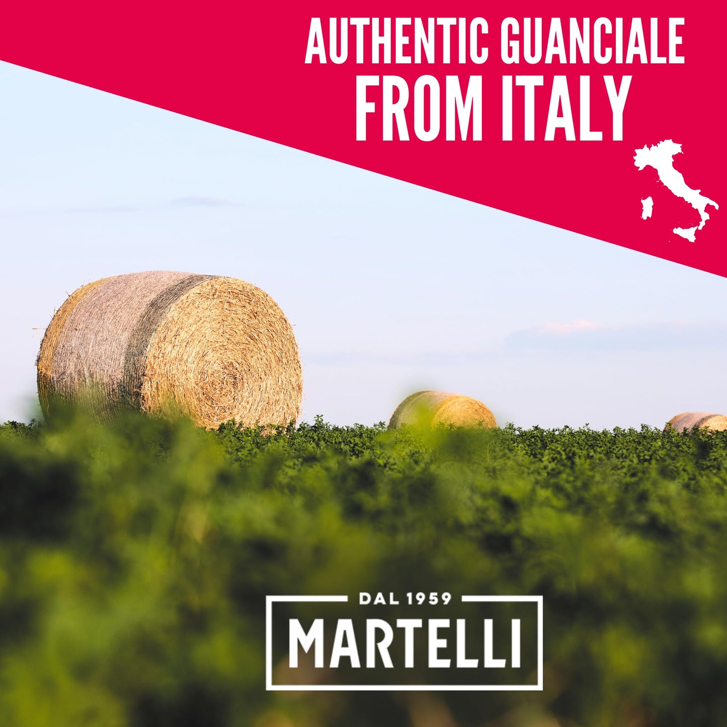 Guanciale from Italy (approx. 4 lbs) - Italian Dry Cured Pork Jowl  MARTELLI - Gluten-Free  Dairy-Free  Lightly Smoked & Aged - Product of Italy