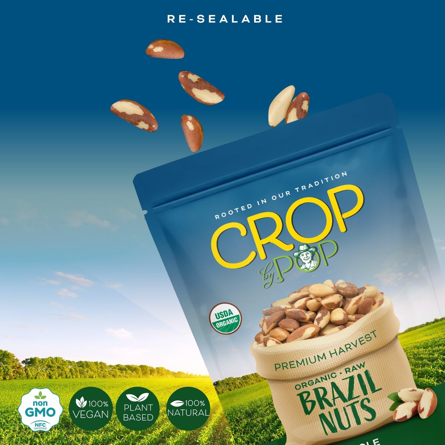 Nut Cravings Organic Raw Brazil Nuts - 8 Oz, Non-GMO, Vegan, Kosher, Resealable Bag