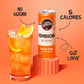 Liquid Remedy Kombucha Sugar Free Organic Drink  Low Calorie  Probiotic Like Tea for Gut Health - Orange Splash - 12 Fl Oz Can  4-Pack