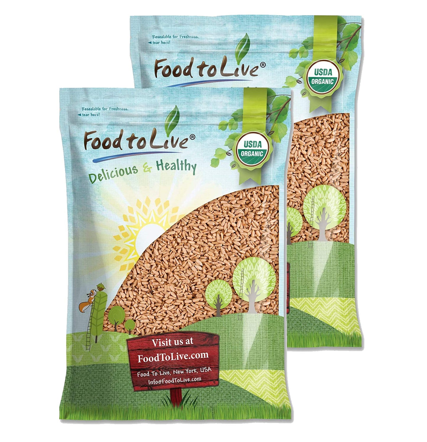 Food to Live Organic Roasted and Salted Sunflower Seeds, 12 Pounds Non-GMO Kernels, Vegan, Kosher, Bulk, Hulled, High in Protein