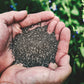Heartland Chia, Usa Grown Whole Raw Black Chia Seeds, 12 Oz | Sustainable, Non-Gmo, Farm-Direct