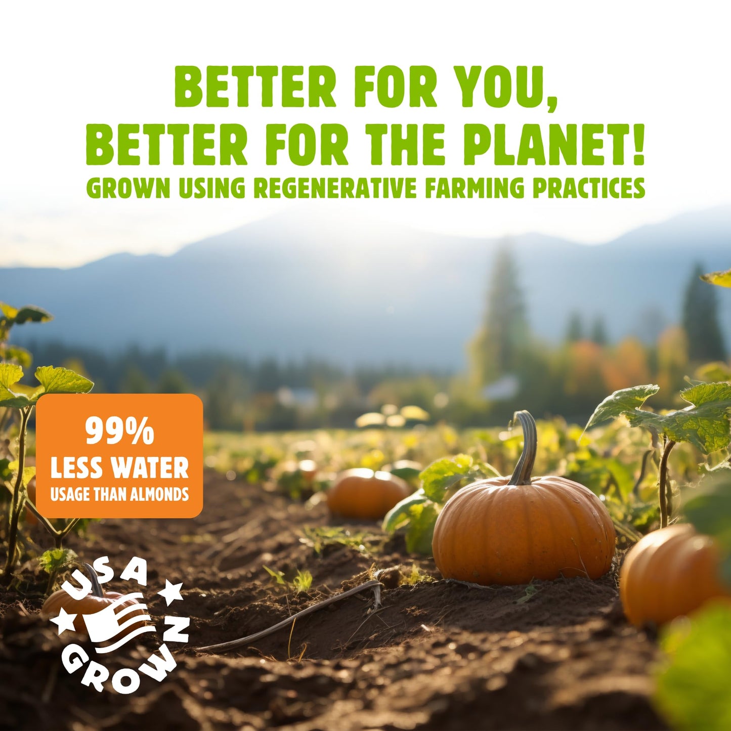 Top Fox Snacks Pumpkin Seeds to Eat (Chile Lime, 3.5 oz - 2 Pack) - Gluten Free Snacks, Healthy Protein Snacks, Keto Friendly Sn