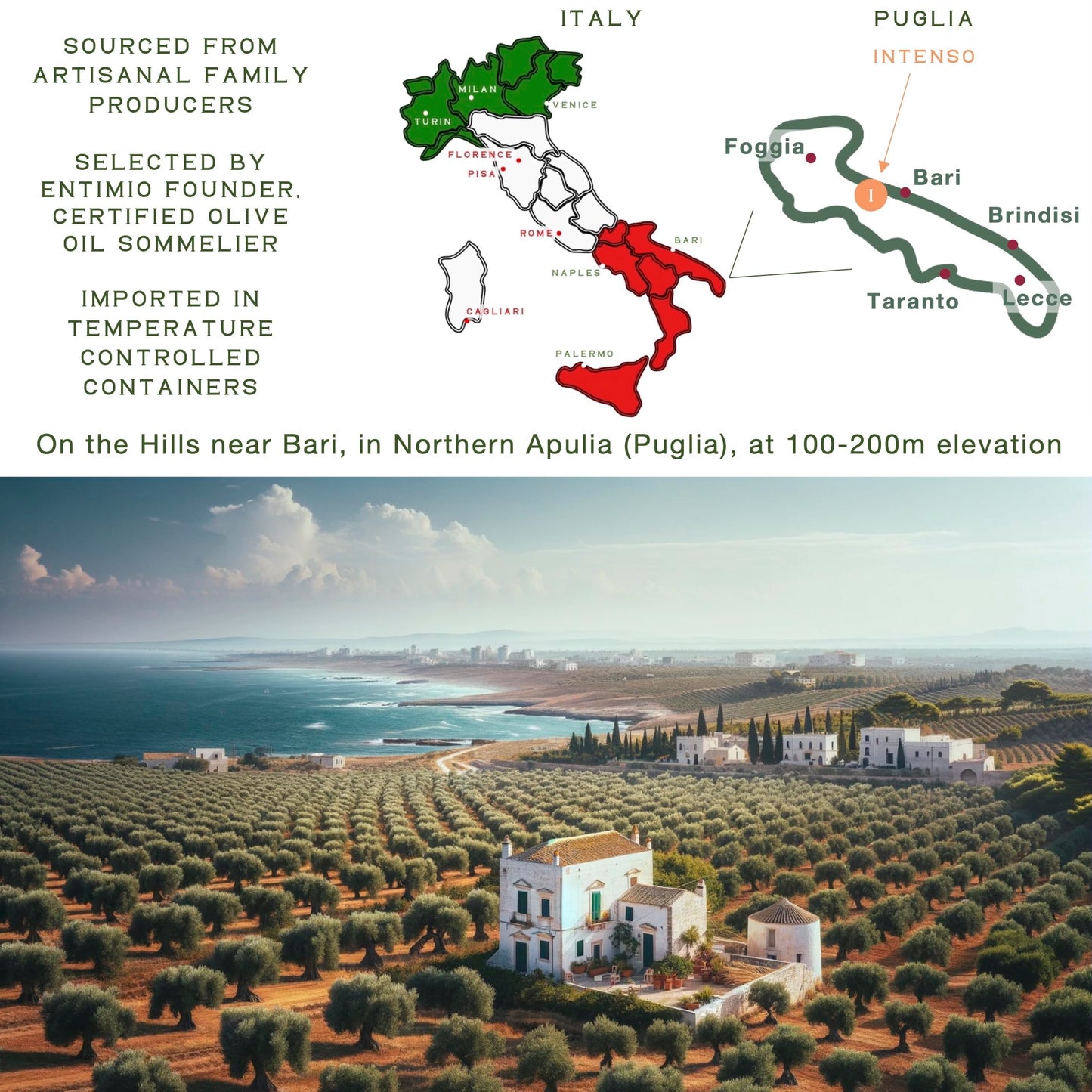 ENTIMIO Organic Extra Virgin Olive Oil, Polyphenol Rich, Cold Extracted, 16.9 Fl Oz, Early Harvest 2024-2025, Gold Winner, Puglia, Italy