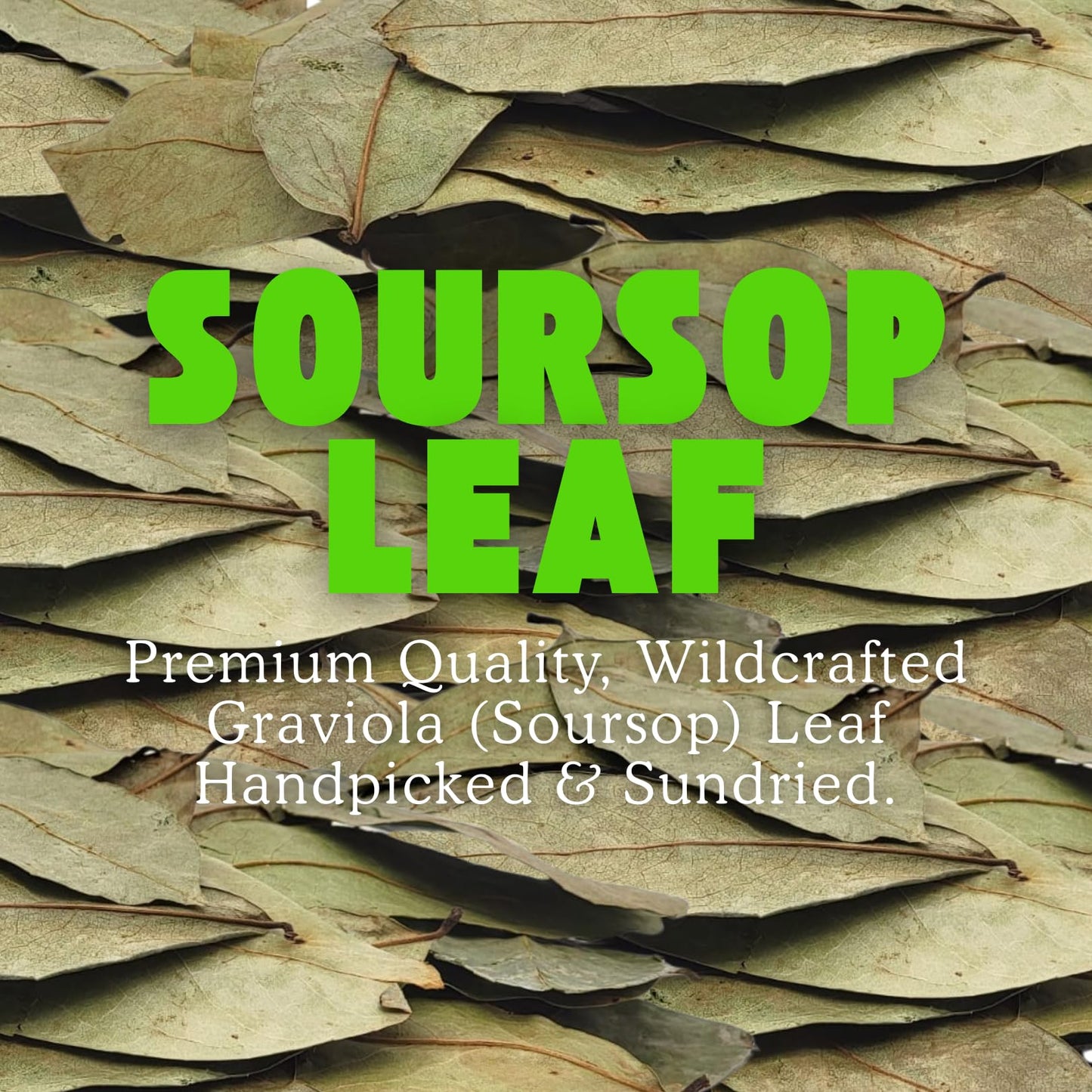 Herbalista - enhanced Whole Dried Graviola Soursop Leaf (4 oz | 350+ Leaves) | 100% Natural Hoja de Guanabana | Fresh  Wildcrafted  and Authentic | Makes 30+ Cups of Delicious Tea