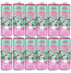 Alani Winter Wonderland Energy Drink Sugar Free, Low Calorie Energy Drinks - 12 fl oz Can, 12 Pack