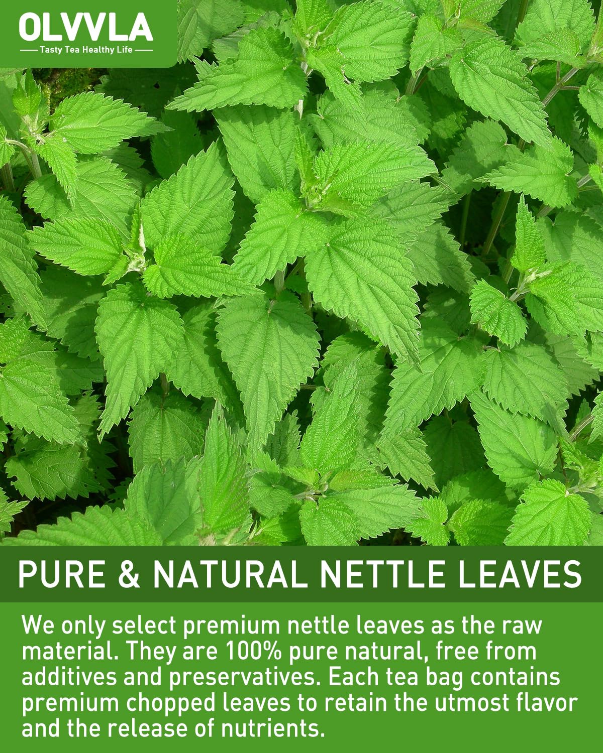 Olvvla Premium Nettle Leaf Tea, Caffeine-Free, Non-GMO, 60 Count