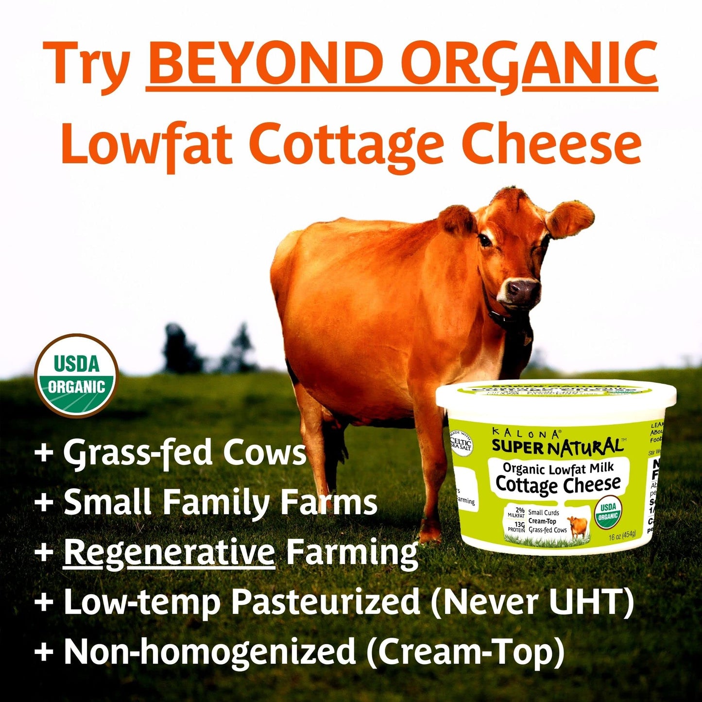 Kalona Super Natural Organic Reduced Fat 2% Cottage Cheese, 16 oz
