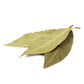 Earthborn Elements Whole Bay Leaves 1 Gallon Bucket, Savory, Bulk Size