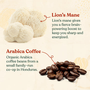Four Sigmatic Focus Coffee Pods Compatible with Nespresso Original | Organic Dark Roast Espresso with Added Focus | Mushroom Coffee Enhanced with Lions Mane | Original Dark Roast 10ct