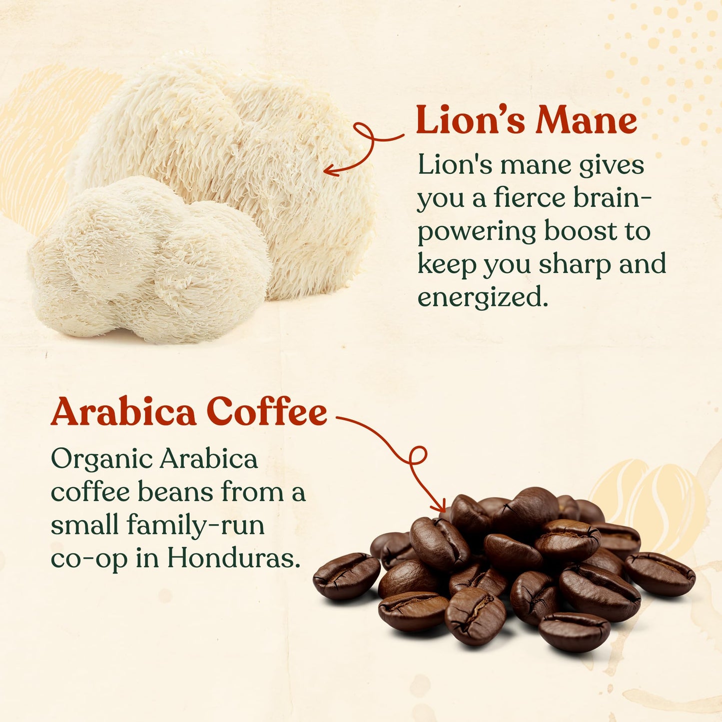 Four Sigmatic Focus Coffee Pods Compatible with Nespresso Original | Organic Dark Roast Espresso with Added Focus | Mushroom Coffee Enhanced with Lions Mane | Original Dark Roast 10ct
