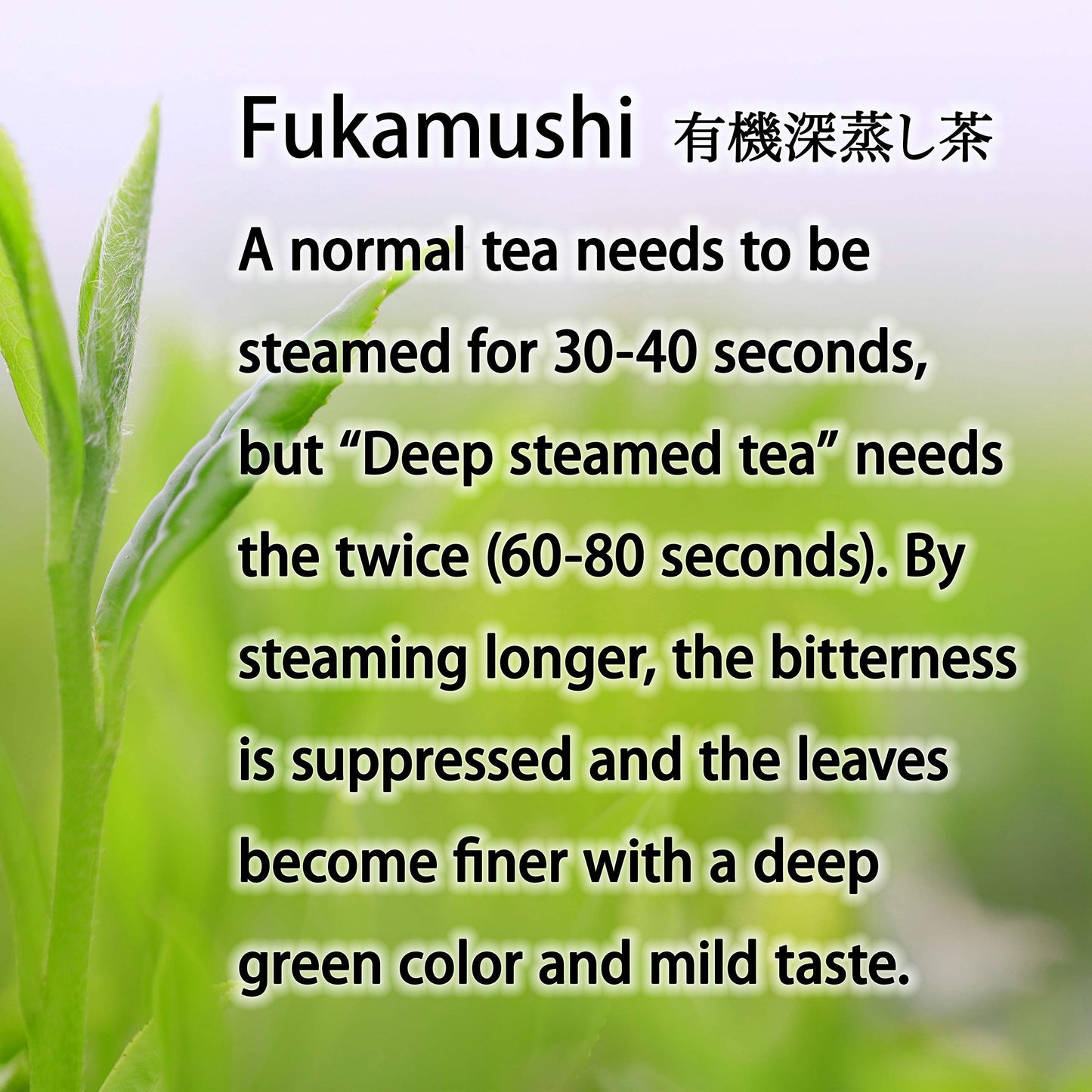Green Tea Sencha Fukamushi - Deep-Steamed Green Tea - Japanese Organic Loose Leaf Tea, 80G?Yamasan?