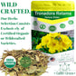 Gabio Green-Tronadora Retama, 16 Oz/ 1 Pound Gr Premium Quality Tronadora Tea, Resealeble Bag, Yellow Elder Herbs, Tronadora Hie