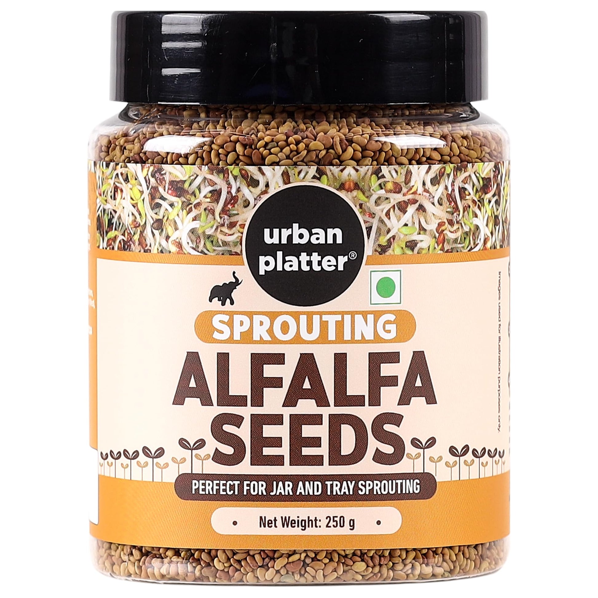 Urban Platter Alfalfa Sprouting Seeds | 250g | Non-GMO, Preservative-Free | Perfect for Salads, Smoothies, and Fresh Sprouts