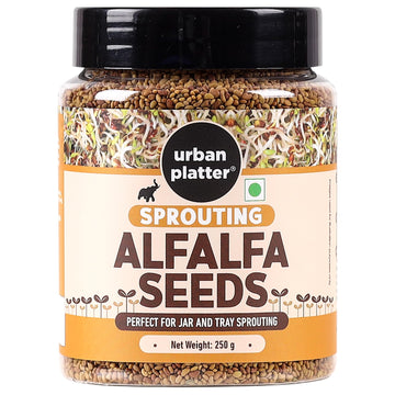 Urban Platter Alfalfa Sprouting Seeds | 250g | Non-GMO, Preservative-Free | Perfect for Salads, Smoothies, and Fresh Sprouts