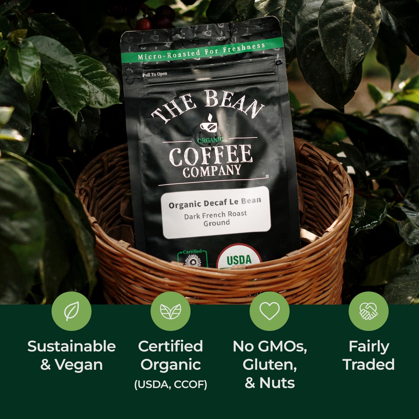 The Bean Organic Coffee Company Water Processed Decaf Le Bean, Dark French Roast, Ground Coffee, 16-Ounce Bags (Pack Of 2), Café Molido Tostado Orgánico Descafeinado