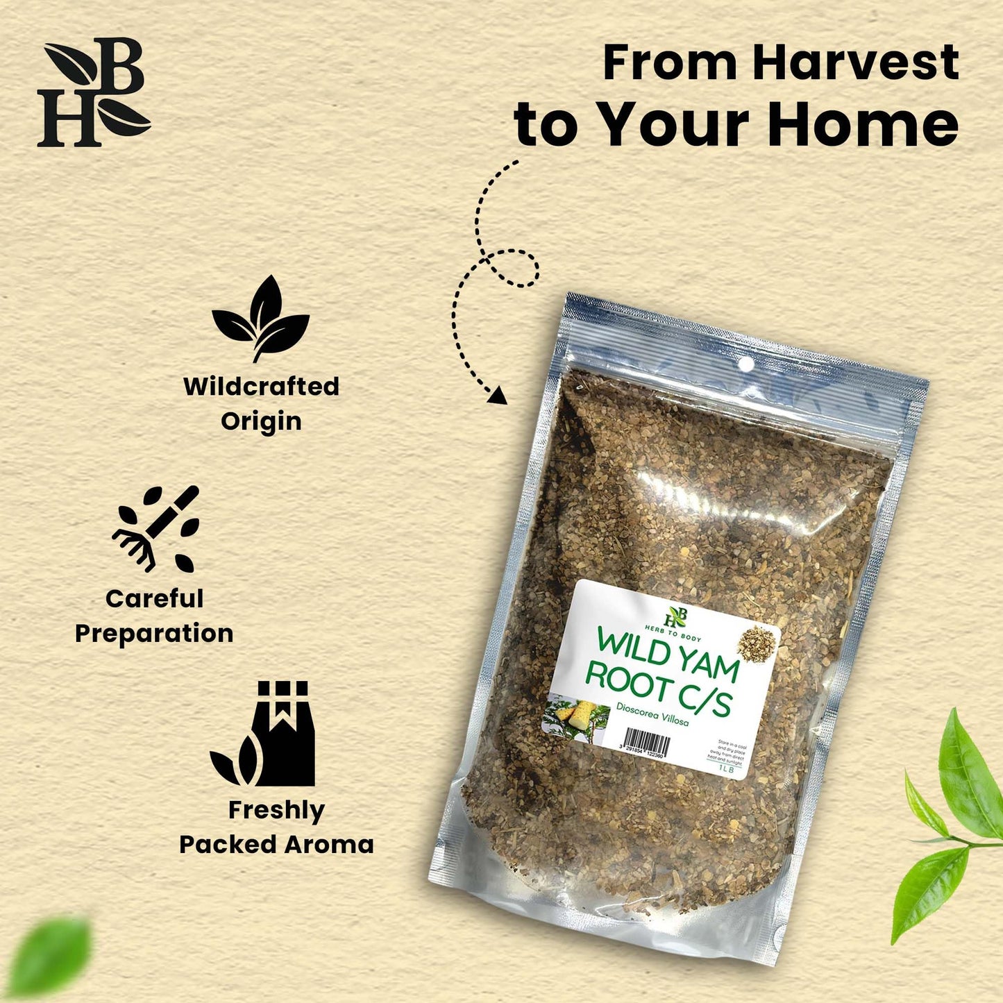 Herb To Body Wild Yam Root Cut & Sifted - 4 oz, Wildcrafted Dioscorea Villosa for Herbal Tea, Relaxation Support, and Traditiona
