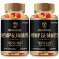 IDEAL PERFORMANCE Bliss Roots Hemp Gummies, Organic Hemp Extract, 2 Pack