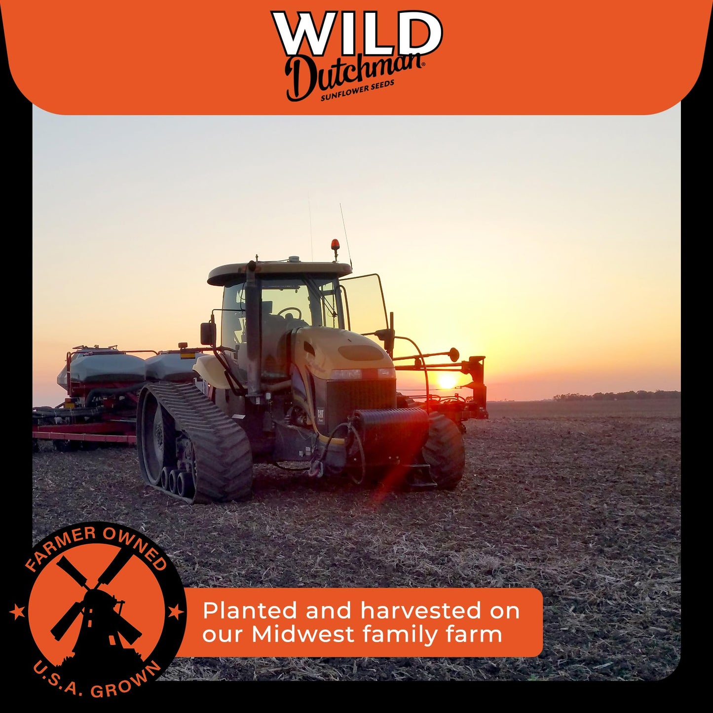 Wild Dutchman Roasted Sunflower Seeds, Salted Original Flavor, 13 oz (Pack of 3)