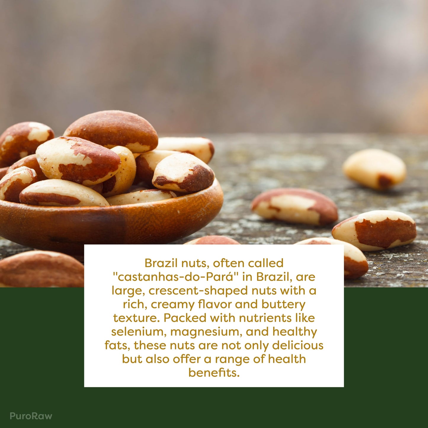 PuroRaw Brazil Nuts Raw 1lb  Raw Brazil Nuts. Brazil Nuts Unsalted - Brazil Nuts- All Natural  Non-GMO  Vegan Brazil Nuts- Brazil Nuts Bulk 16oz