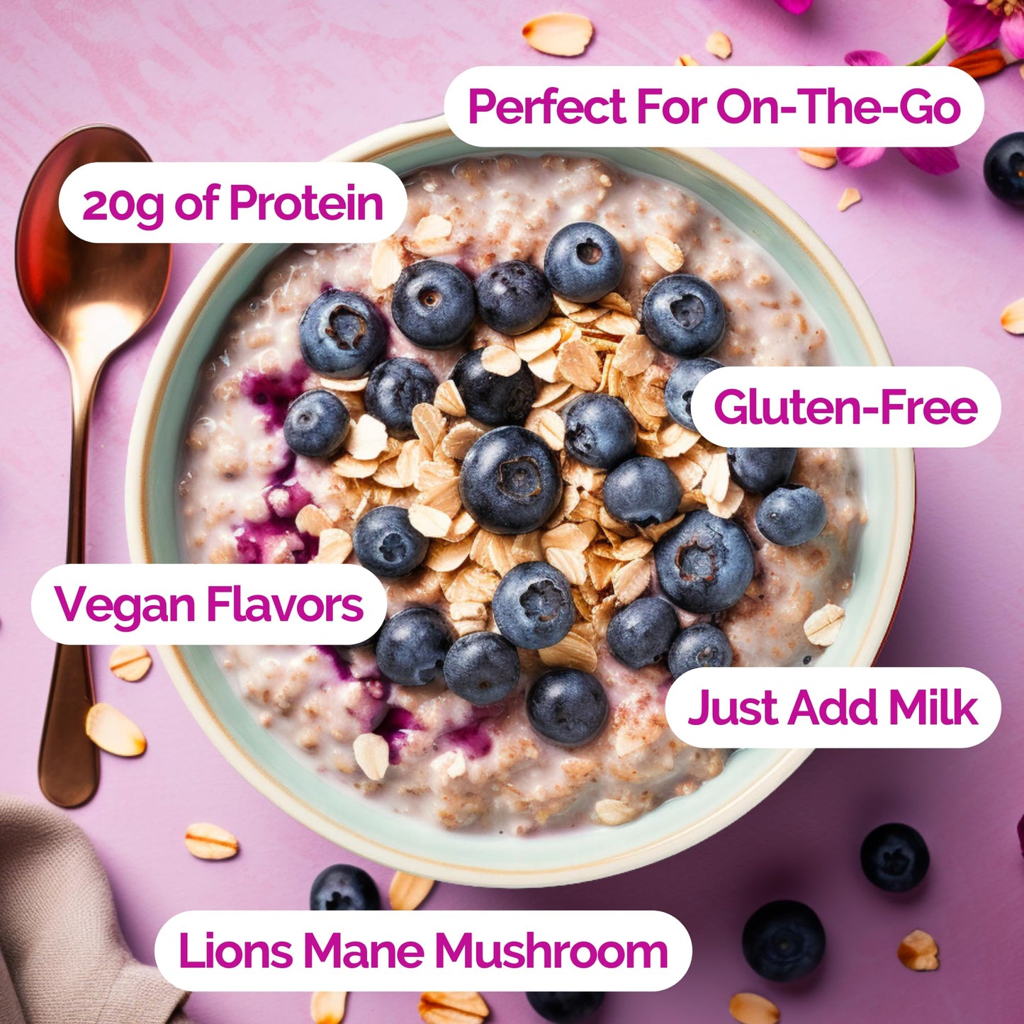 Ono Overnight Oats - Vegan Blueberry Muffin Protein Oatmeal (6 Pack)- 20G Vegan Protein Powder, High Fiber, Low Sugar, Organic G