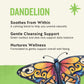 Celestial Seasonings Detox Blend Dandelion Wellness Tea  Caffeine Free  16 Tea Bags Box