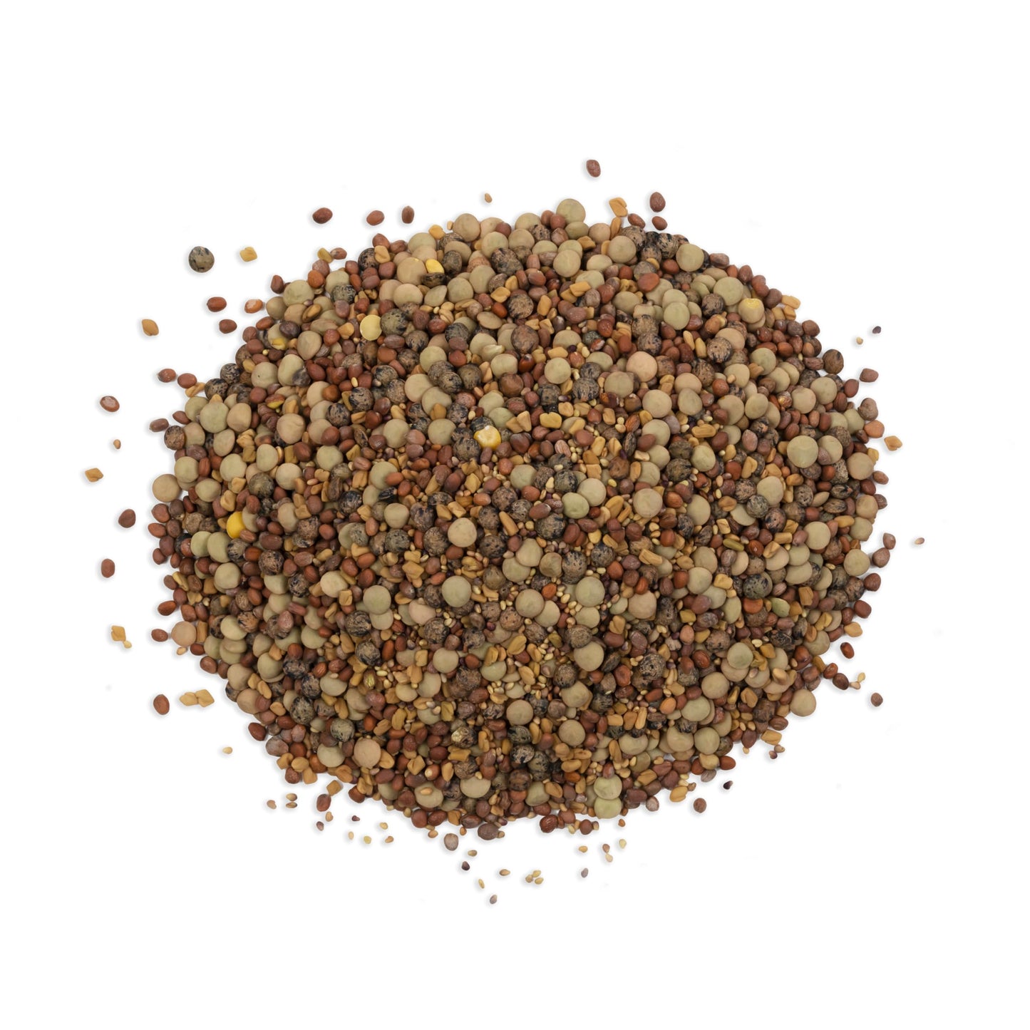 The Sprout House Veggie Queen Salad Mix Certified Organic Non-Gmo Sprouting Seeds - Red Clover, Red Lentil, French Lentil, Daiko
