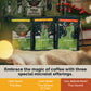 Stone Creek Coffee Yule And The Universe Box Medium And Light Roast (8 Oz, Pack Of 3) – Whole Bean Coffee Sampler Holiday Limited-Edition Gift Set, Uplifting And Deep Roasted Coffee Beans