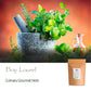 Bay Leaf Organic Herb Laurel - Whole Culinary Quality Leaf - Bay Leaves Organic Bay Leaves Whole Bay Laurel Leaves Bay Leaves Dr