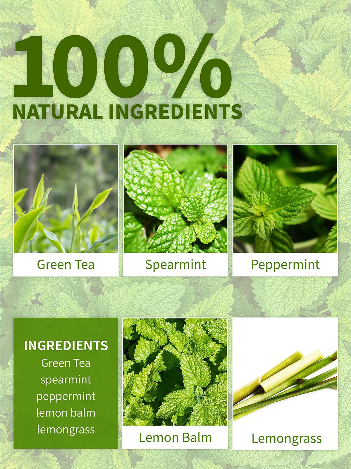Teelux Mint Green Tea Bags, Green Tea With Peppermint, Spearmint, And Lemongrass, Caffeinated, 100% Real And Natural, 50 Count